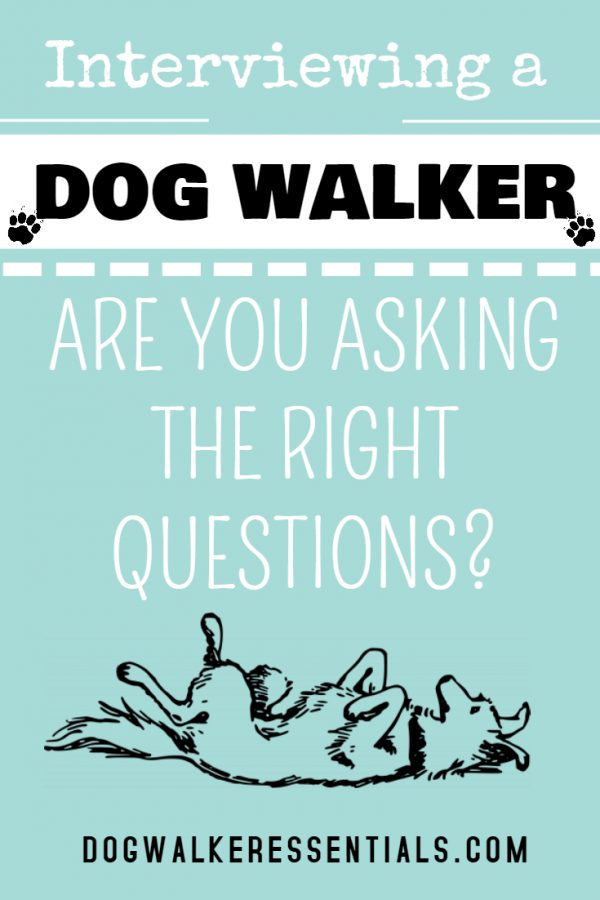 Dog Walker Interview Questions