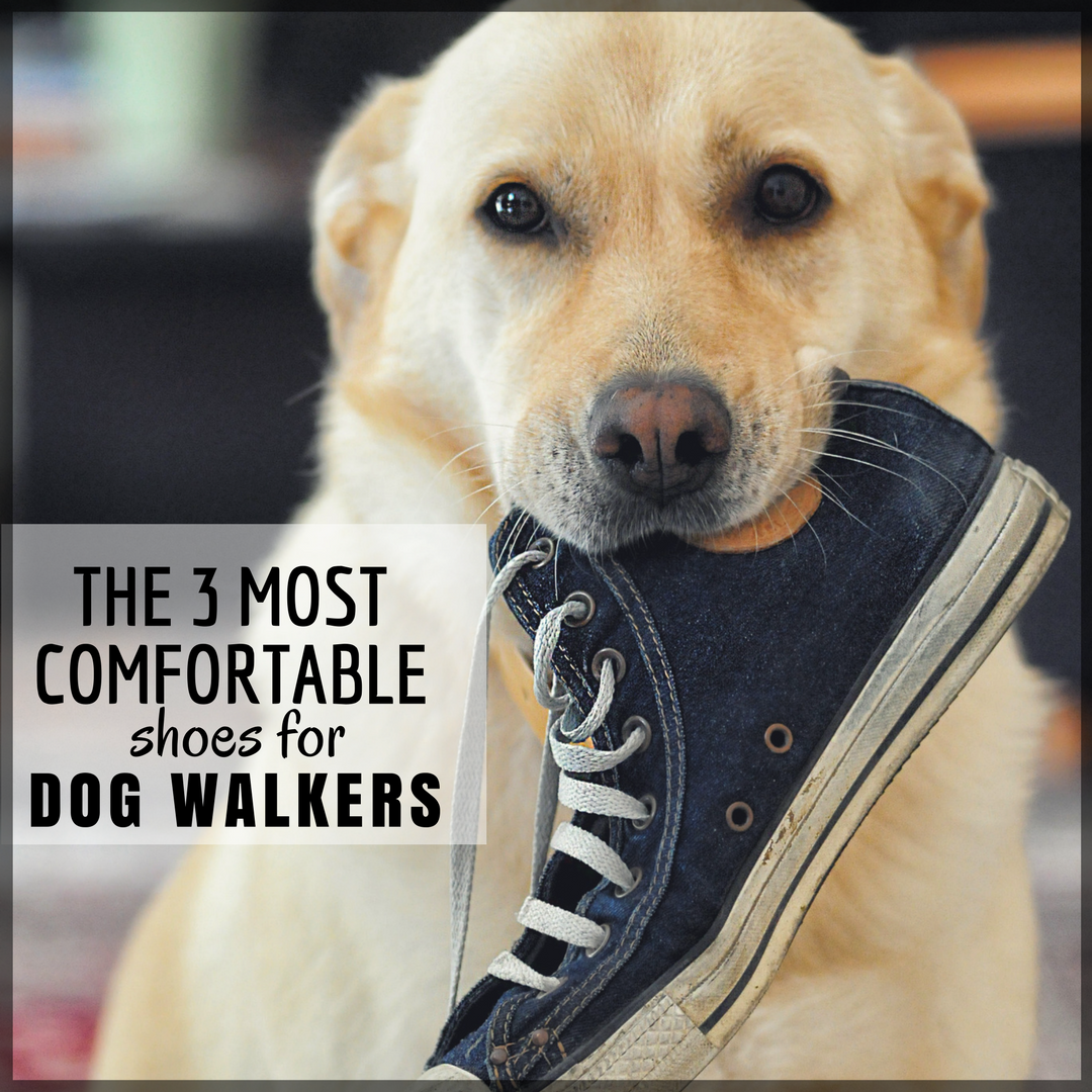 best shoes for walking dog in rain