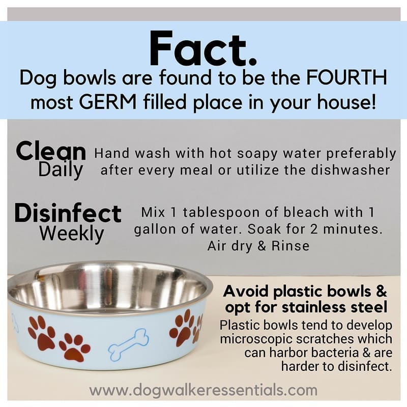 6 Reasons Your Dog Digs in Her Water Bowl — and How to Make Her