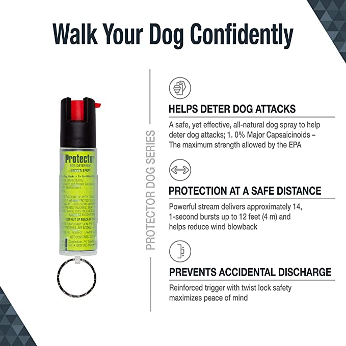 7 Must-Have Professional Dog Walker Supplies - Thimble