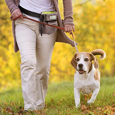 Fanny Pack with Two Sturdy Bottle Holders For Dog Walking