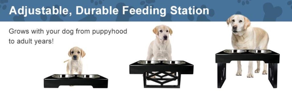 Tips for Selecting the Best Dog Bowls – Basis Products