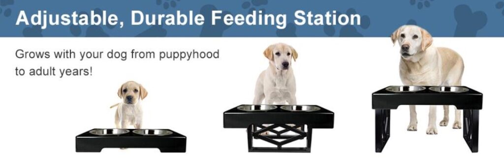 Making an Adjustable Feeding Station for BIG Dogs! 