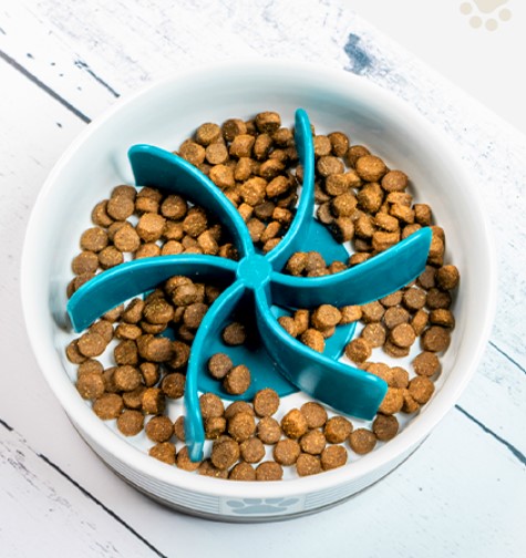 What Are The Safest Dog Bowls Available? – Neater Pets